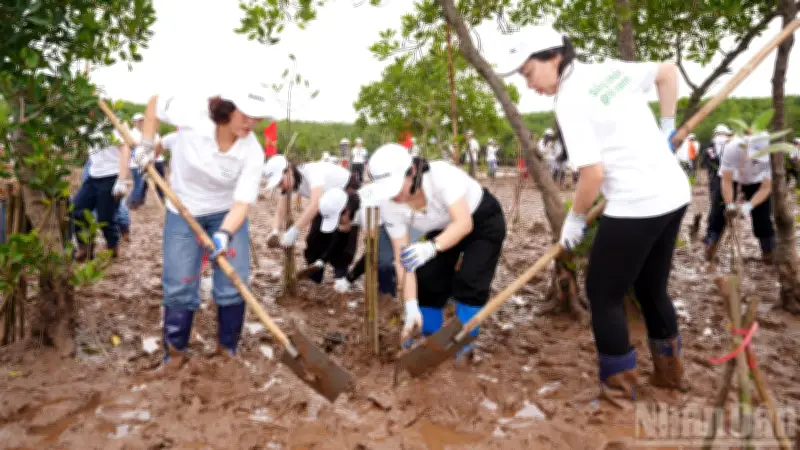 Panasonic cùng cộng đồng trồng 9.000 cây bần chua phục hồi rừng ngập mặn tại Việt Nam