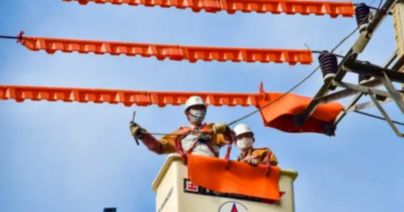 PC Đắk Lắk đảm bảo cấp điện liên tục cho bầu cử Quốc hội và HĐND các cấp