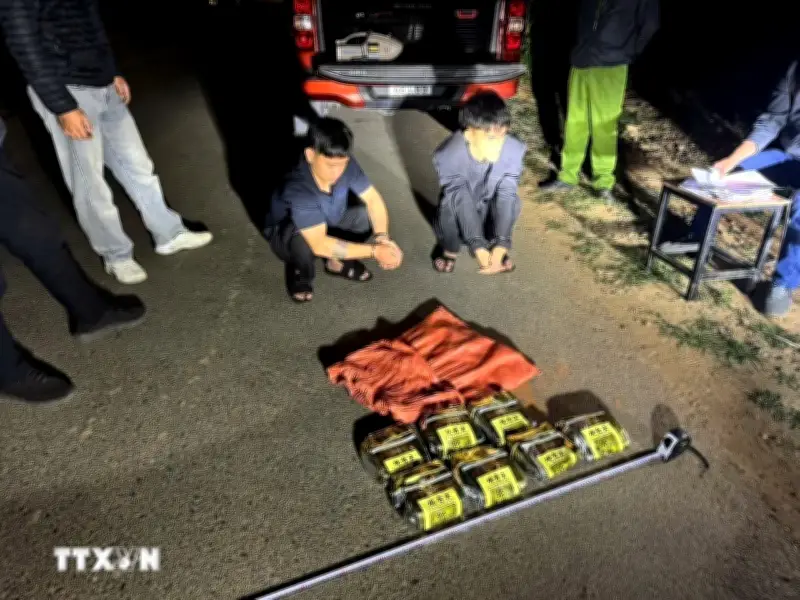 Phá đường dây vận chuyển ma túy lớn từ biên giới Quảng Trị về đồng bằng