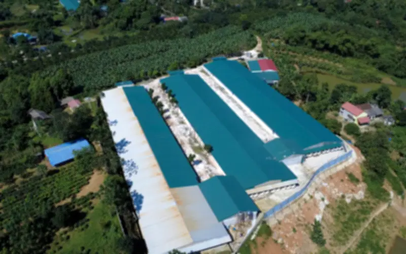 Phú Thọ: Biến đất trồng cây thành trang trại chuyên hiếm ở Cao Đường