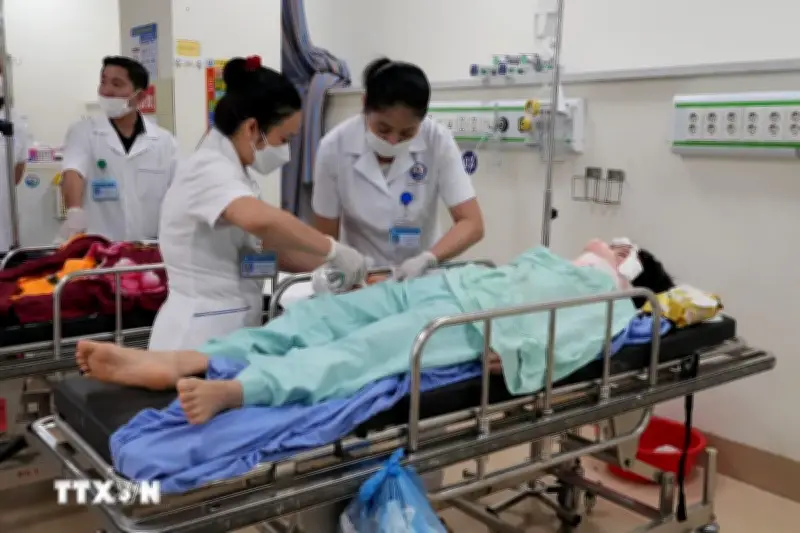 Phú Thọ khẩn trương cứu chữa nạn nhân vụ tai nạn xe 29 chỗ gặp nạn