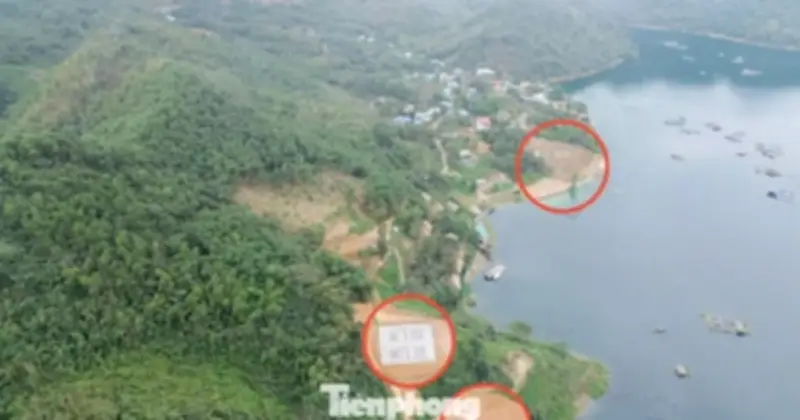 Phú Thọ: Lấn chiếm hồ Hòa Bình, chủ đất trồng cây thay vì khắc phục