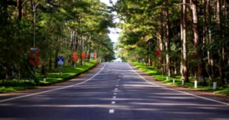 Phó Thủ tướng chỉ đạo nghiên cứu đầu tư cao tốc Quảng Ngãi – Kon Tum theo hình thức PPP