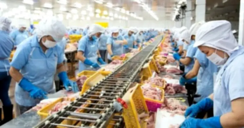 Phó Tổng Giám Đốc Nam Việt Đăng Ký Mua Một Triệu Cổ Phiếu ANV Với Giá 23 Tỷ Đồng