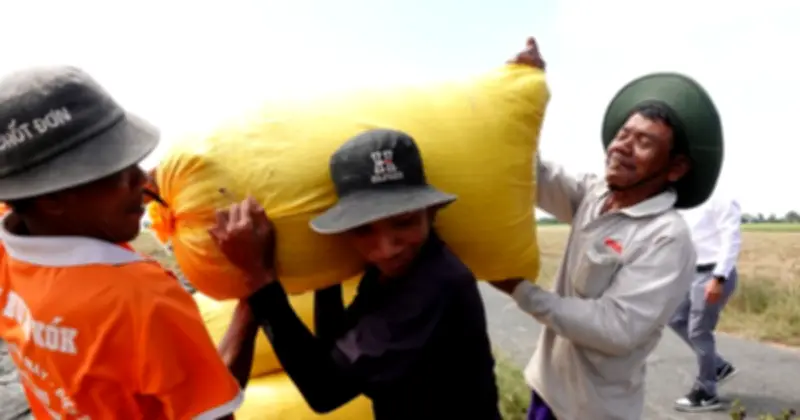 Philippines tăng mạnh nhập khẩu gạo, Việt Nam chiếm 87% thị phần