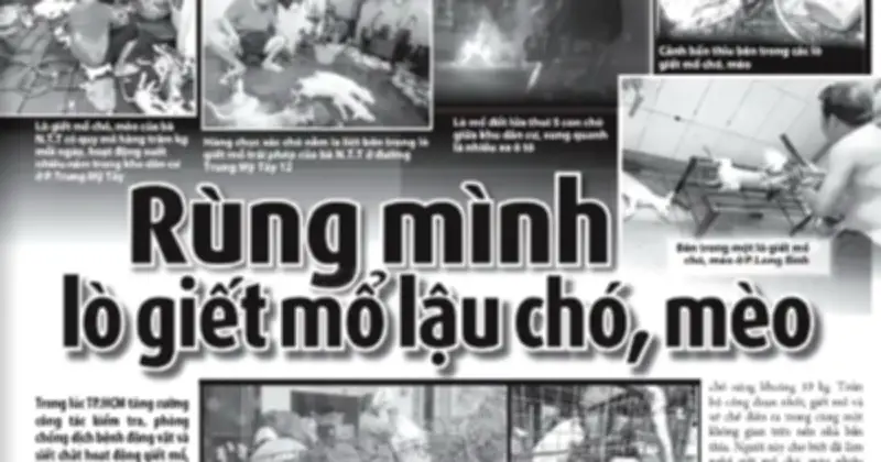 Phóng sự lò giết mổ chó mèo trái phép gây bức xúc, kêu gọi tẩy chay