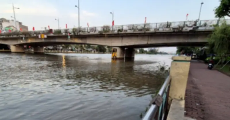 Phóng Sinh Biến Tướng: Vòng Luẩn Quẩn Hủy Hoại Môi Trường Tại Công Viên Tầm Vu