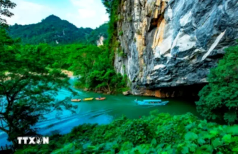 Phong Nha - Kẻ Bàng: Kho báu sinh học chưa được khám phá giữa đại ngàn Trường Sơn