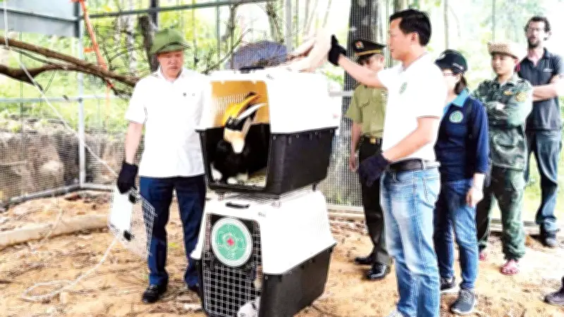 Phong Nha-Kẻ Bàng ứng dụng AI và bẫy ảnh để bảo vệ đa dạng sinh học di sản