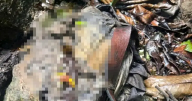 Phát hiện bộ xương người phân hủy tại bìa rừng Quảng Ngãi, công an khẩn trương điều tra