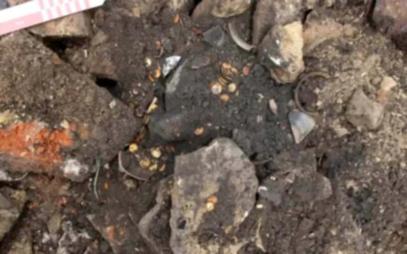 Phát hiện kho tiền vàng rúp hàng trăm năm tuổi dưới nền nhà cổ tại Nga