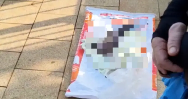 Phát hiện thi thể bé trai sơ sinh bên mương nước ở TP.HCM