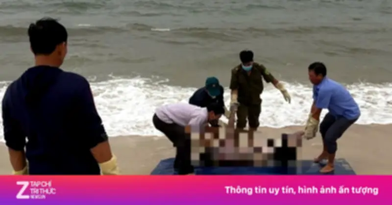 Phát Hiện Thi Thể Du Khách Mất Tích Khi Tắm Biển Nhật Lệ, Quảng Trị
