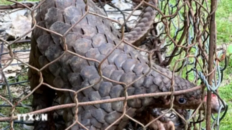 Phát hiện và xử lý 1.784 vụ vi phạm về động vật hoang dã, nguồn lợi thủy sản