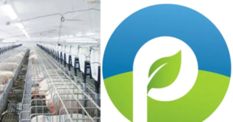 Procimex Việt Nam: Định hướng phát triển bền vững với chất lượng hàng đầu