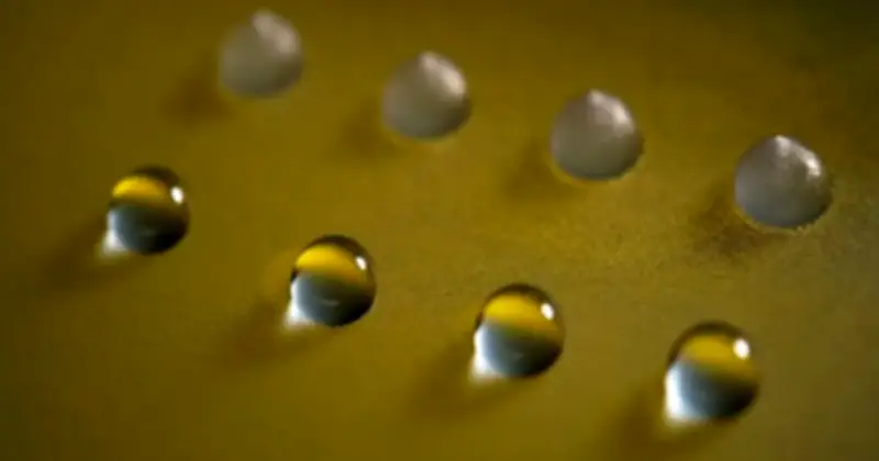 Protein nấm đất đóng băng nước ở -2°C: Bước đột phá cho công nghệ điều khiển thời tiết