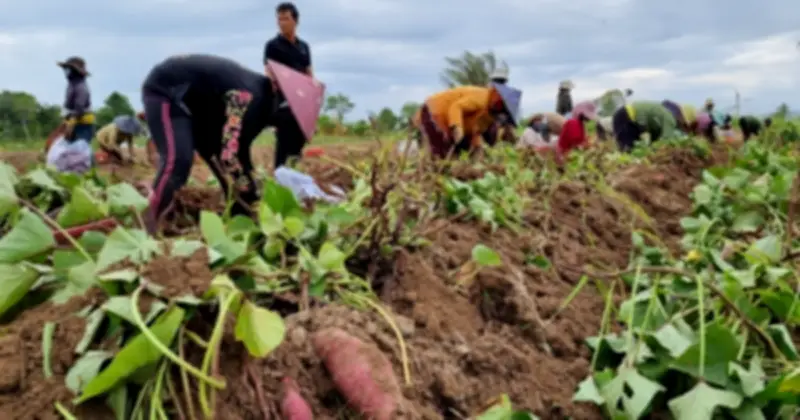 Quan hệ thương mại Việt - Nhật đạt cột mốc lịch sử với hơn 51 tỷ USD năm 2025