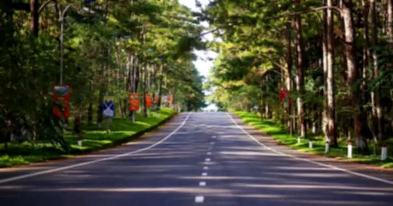 Quảng Ngãi đẩy nhanh dự án cao tốc chiến lược và nâng cấp quốc lộ