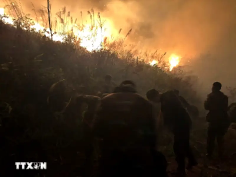 Quảng Ninh khẩn trương dập tắt đám cháy rừng tại Tuần Châu