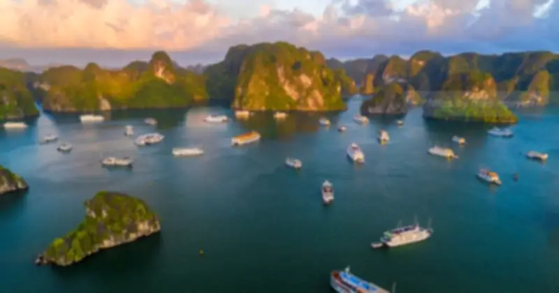 Quảng Ninh triển khai Starlink phủ sóng internet trên vịnh Hạ Long