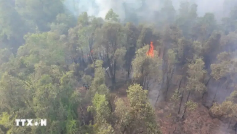 Quảng Trị: Bộ đội Biên phòng phối hợp dập tắt cháy rừng kịp thời