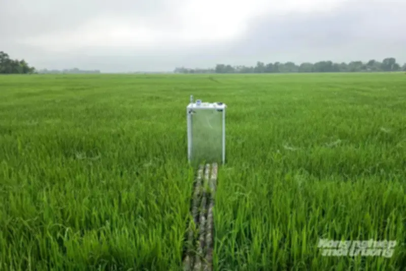 Quảng Trị, Đồng Tháp và Hà Nội triển khai các biện pháp bảo vệ môi trường và ứng phó biến đổi khí hậu