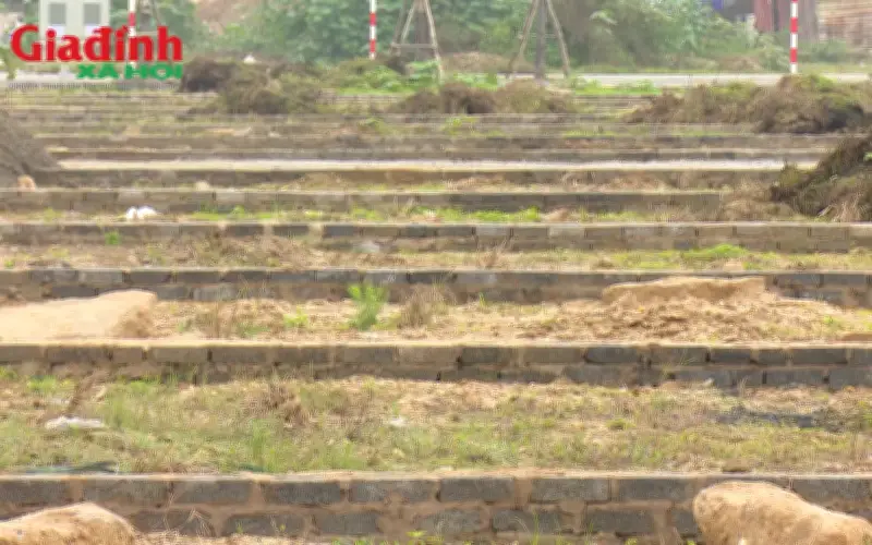 Quy định mới về diện tích tách thửa đất ở An Giang từ năm 2026