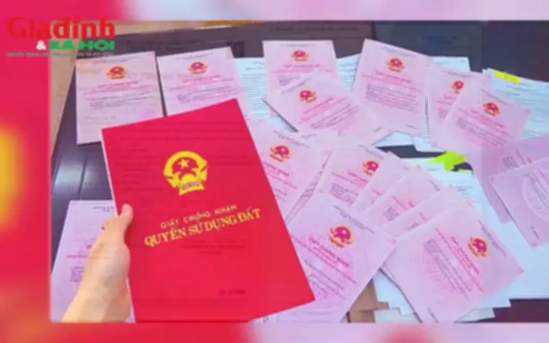 Quy định mới về diện tích tối thiểu tách thửa đất nông nghiệp tại An Giang từ 2026