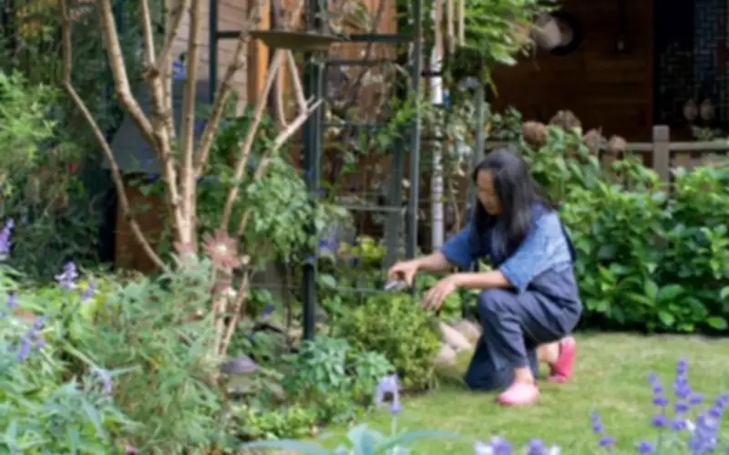 Quyết Nghỉ Hưu Sớm, Tôi Bỏ Phố Về Sống Bình Yên Trong Biệt Thự Ngoại Ô Với 5 Chú Chó