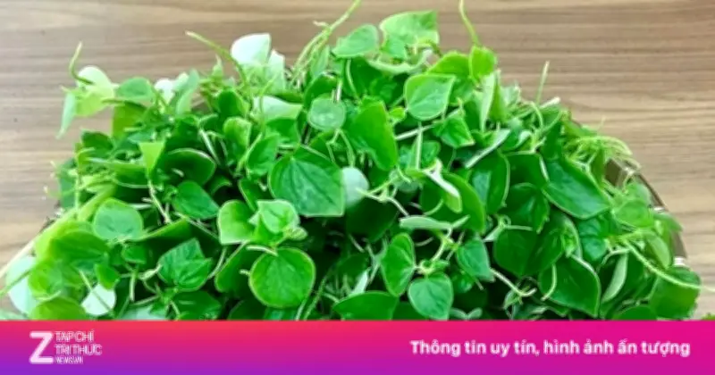 Rau Càng Cua: 'Thảo Dược Vàng' Tốt Ngang Nhân Sâm Cho Sức Khỏe Người Việt