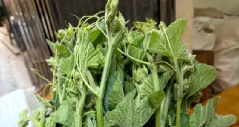 Rau Xào Tỏi: Món Ăn Dân Dã Giúp Mẹ Ổn Định Huyết Áp, Hỗ Trợ Tiêu Hóa