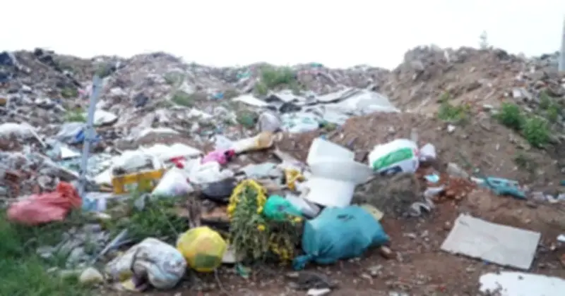 Rác Thải Tràn Lan Bên Sông Dinh: Bãi Rác Tự Phát Gây Ô Nhiễm Và Ảnh Hưởng Nông Nghiệp