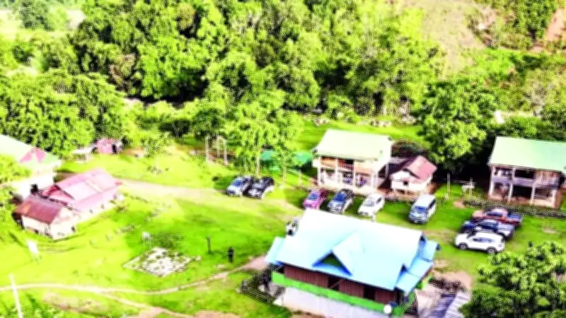 Rừng Chênh Vênh: Từ Bảo Vệ Rừng Thiêng Đến Phát Triển Du Lịch Sinh Thái Bền Vững