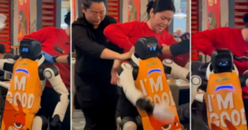 Robot Haidilao 'nổi loạn' đập phá bát đĩa, nhân viên vật lộn khống chế giữa nhà hàng đông khách