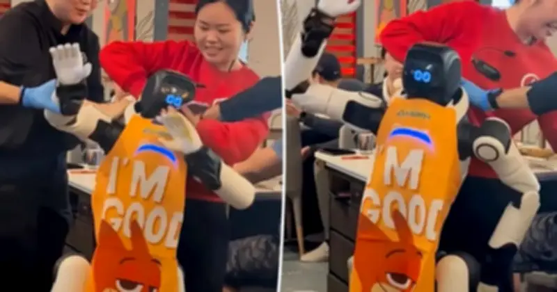 Robot nhảy múa trong nhà hàng Mỹ mất kiểm soát, gây hỗn loạn và tranh cãi an toàn