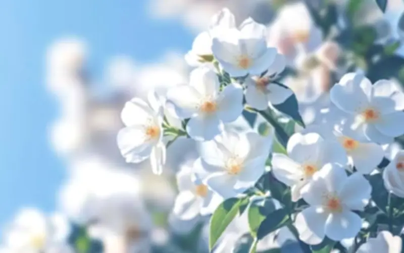 Số cuối ngày sinh âm lịch hé lộ tiềm năng của trẻ: 4 con số để làm nên nghiệp lớn