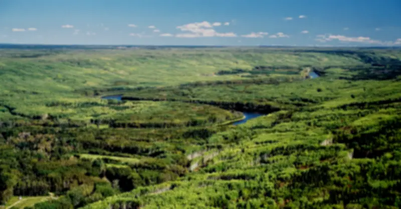 Sự thật ít người biết về 170 tỷ thùng dầu dưới tán rừng xanh Việt Nam