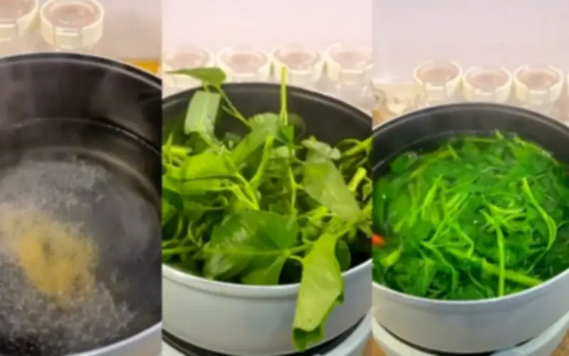 Sai lầm nghiêm trọng khi luộc rau: Nhiều bà nội trợ vứt bỏ chất bổ