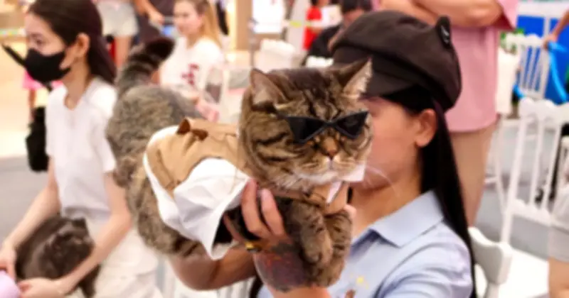 Saigon Pet Carnival 2026 thu hút giới trẻ với cuộc thi mèo đẹp và thời trang thú cưng