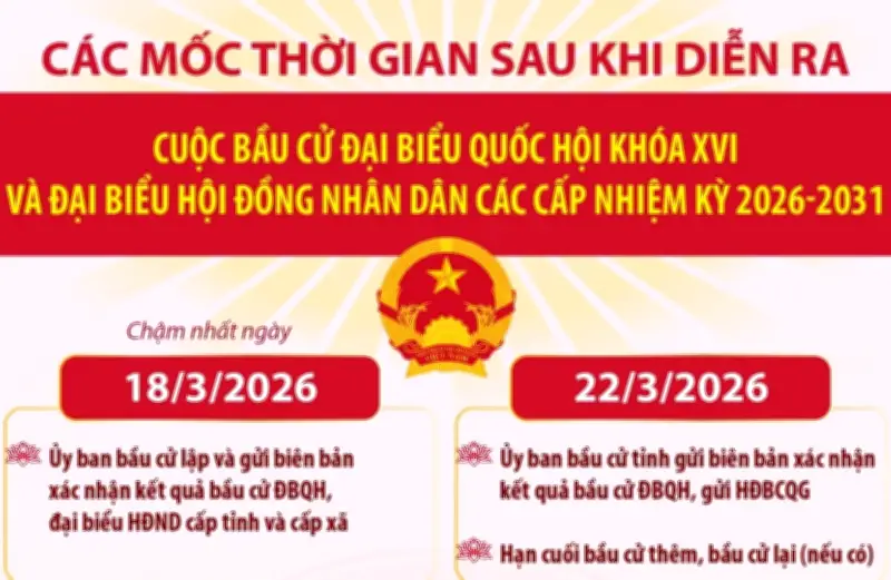 Sau Ngày Bầu Cử: Các Mốc Thời Gian Quan Trọng Để Hoàn Tất Quy Trình