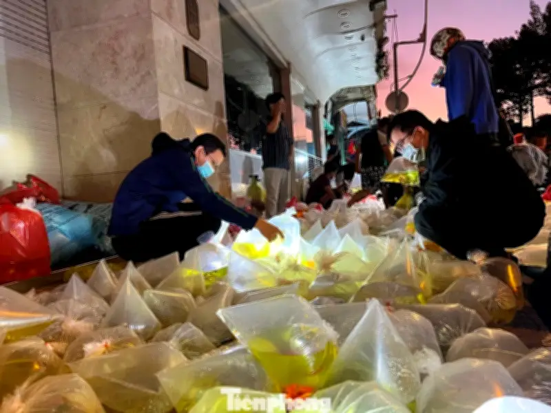 Sài Gòn Rộn Ràng Những Phiên Chợ Đặc Biệt: Từ Trầu Cau Đến Cá Cảnh 'Âm Phủ'