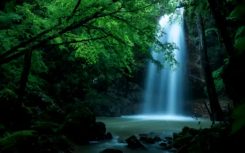 Sinh Đúng Giờ Hoàng Kim: 3 Con Giáp Này Hưởng Trọn Phú Quý, Dễ Thành Đại Gia