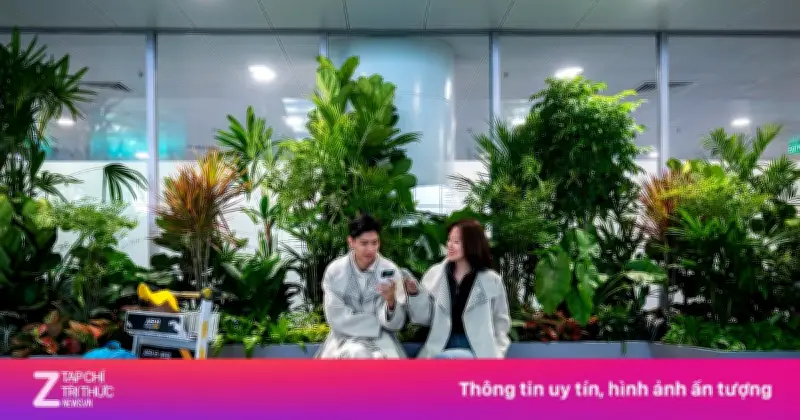 Sân bay Changi Singapore tiếp tục dẫn đầu thế giới 2026, Nội Bài và Đà Nẵng thăng hạng