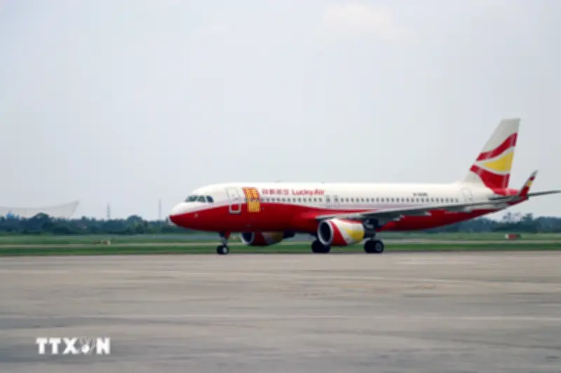 Sân Bay Cát Bi Cảnh Báo Sau Vụ Thả Diều Gây Ảnh Hưởng Loạt Chuyến Bay