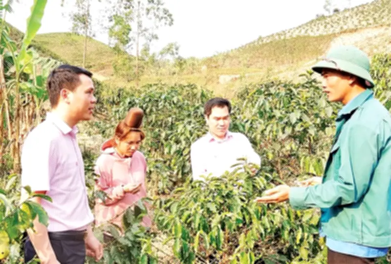 Sơn La: Mô Hình Ủy Thác Tín Dụng Qua Hội Nông Dân Giúp Hàng Nghìn Hộ Thoát Nghèo