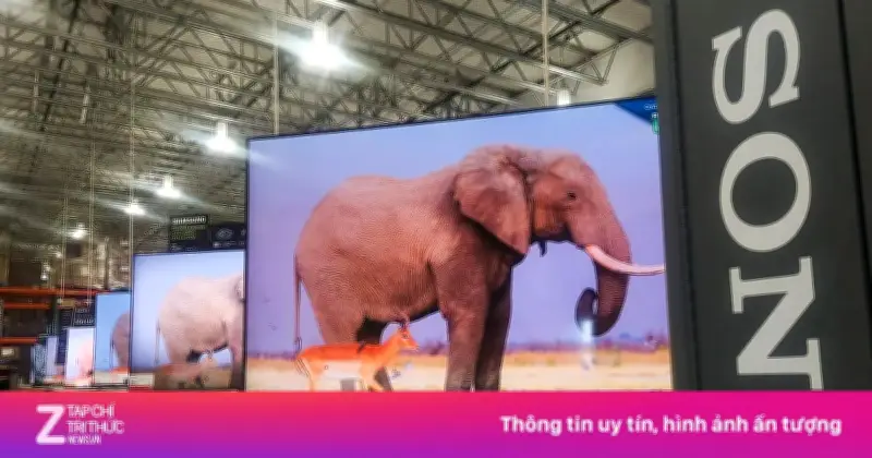 Sony 'bán mình' cho TCL: Thương vụ 472 triệu USD chuyển giao TV Bravia