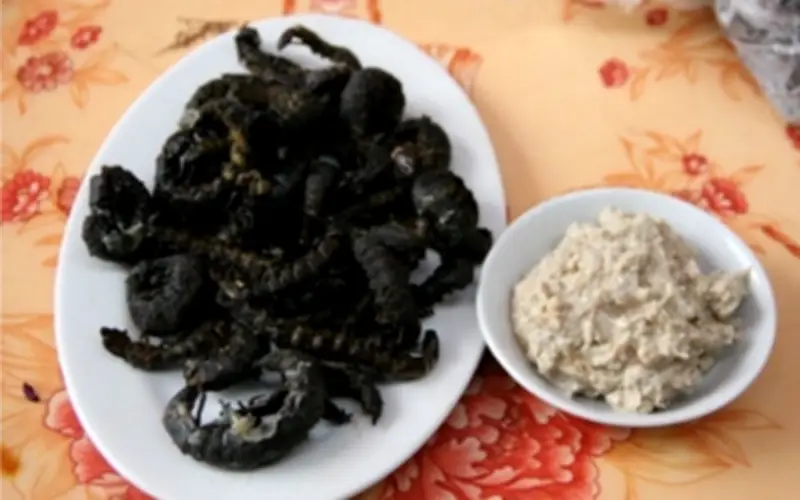 Sâu Đá - Đặc Sản Kỳ Dị Từ Khe Suối Tây Bắc: Từ Hình Dáng 'Rết Nước' Đến Món Ăn Hấp Dẫn