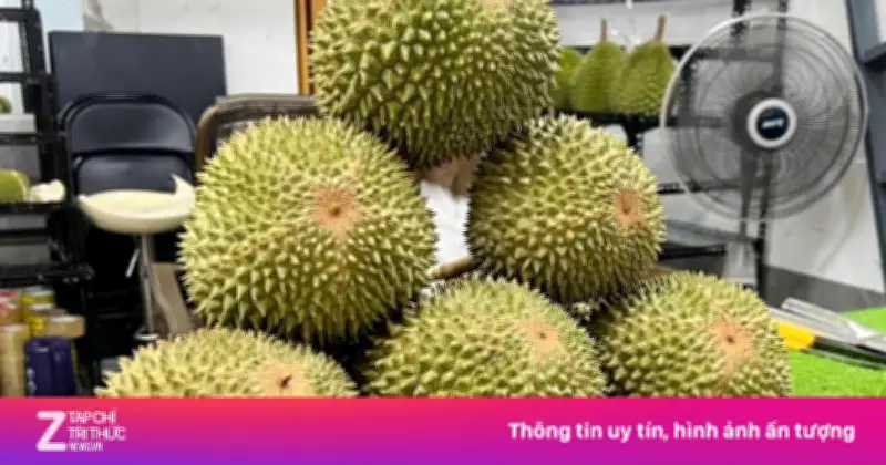 Sầu riêng gai đen tiền triệu vẫn 'cháy hàng' dù giá cao ngất ngưởng