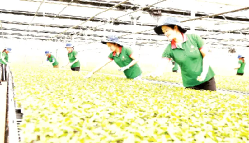 Từ Lớp Học Nghề Đến Ruộng Đồng: Nông Dân Lâm Đồng Đổi Mới Sản Xuất