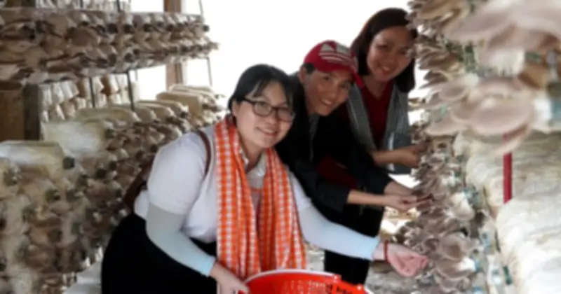 Từ trang trại nấm bấp bênh đến điểm du lịch trải nghiệm hút khách ở Đồng Tháp